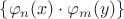 $\{\varphi_n(x) \cdot \varphi_m(y)\}$