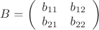 $B = \left( \begin{array}{cc} b_{11} & b_{12} \\ b_{21} & b_{22} \end{array} \right)$ $B = \left( \begin{array}{cc} b_{11} & b_{12} \\ b_{21} & b_{22} \end{array} \right)$