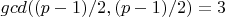 $gcd ((p-1)/2, (p-1)/2)=3$