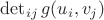 $\det_{ij}g(u_i,v_j)$