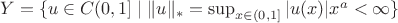 $Y=\{u\in C(0,1]\mid\|u\|_*=\sup_{x\in(0,1]}|u(x)|x^a<\infty\}$