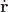 $\dot{\mathbf r}$