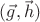$(\vec{g},\vec{h})$