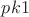 $pk1$
