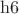 $\mathrm{h6}$