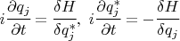 $i\cfrac{\partial q_j}{\partial t}=\cfrac{\delta H}{\delta q_j^*},\,\,i\cfrac{\partial q_j^*}{\partial t}=-\cfrac{\delta H}{\delta q_j}$