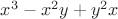 $x^3 -x^2y+y^2x$