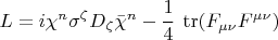 $ L = i \chi^n \sigma^\zeta D_\zeta \bar \chi^n - \cfrac14 ~ \operatorname{tr} ( F_{\mu\nu} F^{\mu\nu}) $