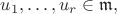 $u_1,\ldots,u_r\in\mathfrak{m},$