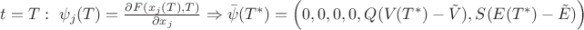 $t=T:\text{ }\psi_j(T)=\frac{\partial{F(x_j(T),T)}}{\partial{x_j}}\Rightarrow \bar{\psi}(T^{*})=\left(0, 0, 0, 0, Q(V(T^{*})-\tilde{V}), S(E(T^{*})-\tilde{E}) \right)$ $t=T:\text{ }\psi_j(T)=\frac{\partial{F(x_j(T),T)}}{\partial{x_j}}\Rightarrow \bar{\psi}(T^{*})=\left(0, 0, 0, 0, Q(V(T^{*})-\tilde{V}), S(E(T^{*})-\tilde{E}) \right)$