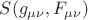 $S(g_{\mu\nu}, F_{\mu\nu})$