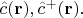 $\hat{c}(\mathbf{r}),\hat{c}^{+}(\mathbf{r}).$