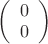 $\left(
  \begin{array}{c}
    0\\
    0\\
  \end{array}
\right)$
