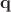 $\mathbf {q}$