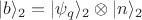 $|b\rangle_2=|\psi_q\rangle_2 \otimes |n \rangle_2$