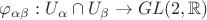 $\varphi_{\alpha\beta}:U_\alpha\cap U_\beta \to GL(2,\mathbb R)$