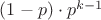 $(1-p)\cdot p^{k-1}$