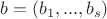 $b=(b_1,...,b_s)$ $b=(b_1,...,b_s)$