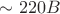 $\sim 220 B$