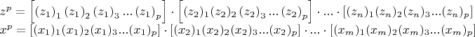 $
\begin{array}{l}
 z^p  = \left[ {\left( {z_1 } \right)_1 \left( {z_1 } \right)_2 \left( {z_1 } \right)_3 ...\left( {z_1 } \right)_p } \right] \cdot \left[ {(z_2 )_1 (z_2 )_2 \left( {z_2 } \right)_3 ...\left( {z_2 } \right)_p } \right] \cdot ... \cdot \left[ {(z_n )_1 (z_n )_2 (z_n )_3 ...(z_n )_p } \right] \\ 
 x^p  = \left[ {(x_1 )_1 (x_1 )_2 (x_1 )_3 ...(x_1 )_p } \right] \cdot \left[ {(x_2 )_1 (x_2 )_2 (x_2 )_3 ...(x_2 )_p } \right] \cdot ... \cdot \left[ {(x_m )_1 (x_m )_2 (x_m )_3 ...(x_m )_p } \right] \\ 
 \end{array}
$