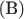 (B) (B)