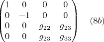 $$\begin{pmatrix}1 & 0 & 0 & 0\cr 0 & -1 & 0 & 0\cr 0 & 0 & g_{22} & g_{23}\cr 0 & 0 & g_{23} & g_{33}\end{pmatrix} \quad(8b)$$
