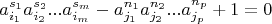 $$a_{i_1}^{s_1}a_{i_2}^{s_2}...a_{i_m}^{s_m}-a_{j_1}^{n_1}a_{j_2}^{n_2}...a_{j_p}^{n_p} +1=0 $$
