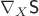 $\nabla_X \textsf S$
