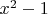 $x^2 - 1$
