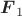 $\boldsymbol{F}_1$
