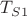 $T_{S 1} $