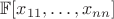 $\mathbb{F}[x_{11},\dots,x_{nn}]$
