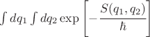 $\int dq_1 \int dq_2 \exp\left[-\cfrac{S(q_1,q_2)}{\hbar} \right] $