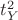$t_Y^2$