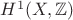 $H^1(X,\mathbb{Z})$