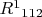 ${R^1}_{112}$