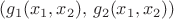 $(g_1(x_1,x_2),\, g_2(x_1,x_2))$