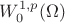 $W^{1,p}_{0}(\Omega)$