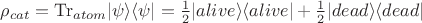 $\rho_{cat}  = \mathrm{Tr}_{atom}|\psi\rangle\langle\psi| = \frac{1}{2}|alive\rangle\langle alive| + \frac{1}{2}|dead\rangle\langle dead|$