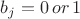 $b_j = 0 \, or \, 1$ $b_j = 0 \, or \, 1$