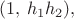 $(1,\,h_1h_2),$