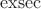 $\operatorname{exsec}$
