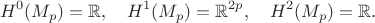 $$
H^0(M_p)=\mathbb{R},\quad H^1(M_p)=\mathbb{R}^{2p},\quad H^2(M_p)=\mathbb{R}.
$$