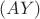 $(AY)$