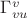 $\Gamma^v_{vu}$