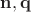 $\mathbf n, \mathbf q$ $\mathbf n, \mathbf q$