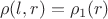 $$\rho(l,r)=\rho_1(r)$$