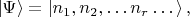 $\left\lvert\Psi\right\rangle=\left\lvert n_1,n_2,\dots n_r\dots\right\rangle,$