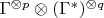 $\Gamma^{\otimes p}\otimes (\Gamma^*)^{\otimes q}$