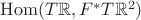 $\operatorname{Hom}(T\mathbb{R}, F^*T\mathbb{R}^2)$